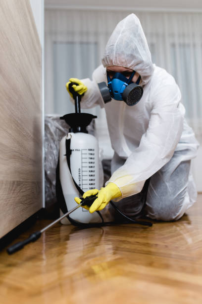 Best Fumigation Services  in Brocton, NY